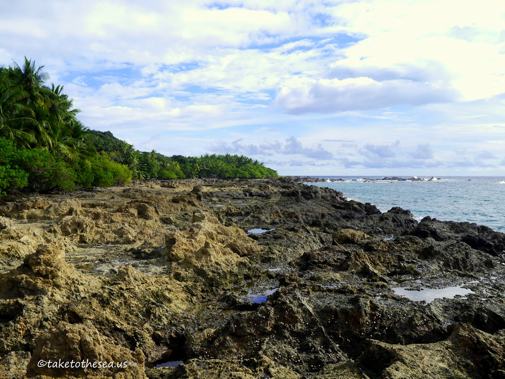 We walked the entire circumference of ISla Montuosa at low tide.