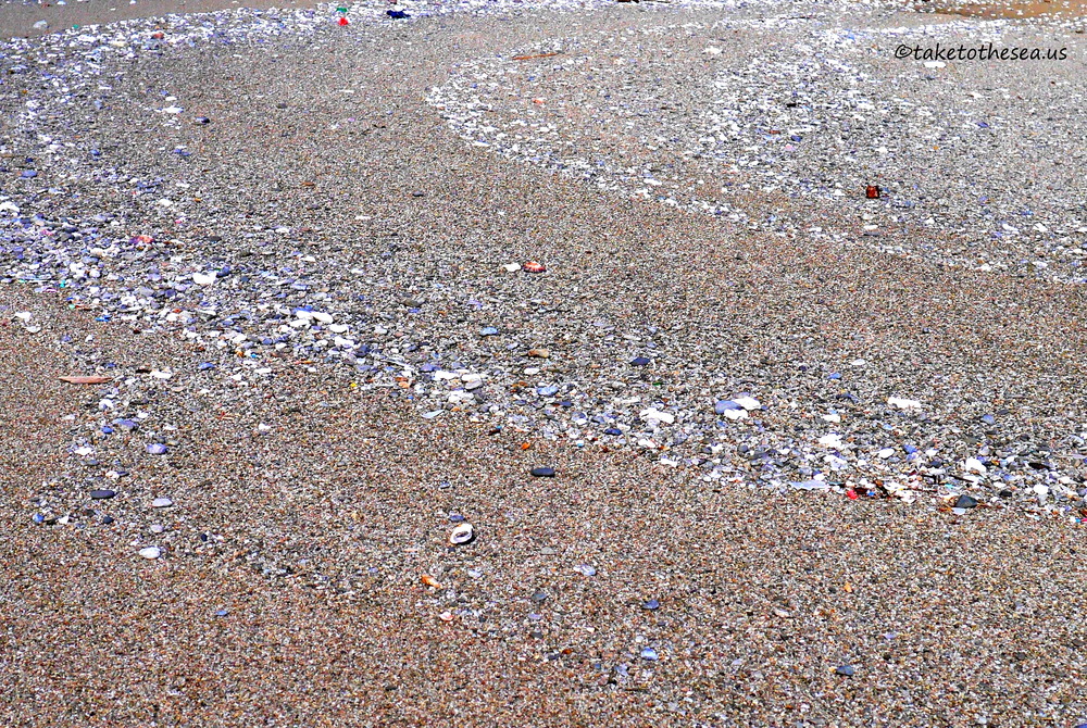 Waves of sand and pebbles. There was SO MUCH beautiful beach glass on this island. I was in heaven.